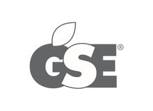 Logo GSE