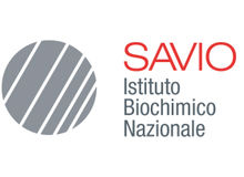 Logo IBN Savio