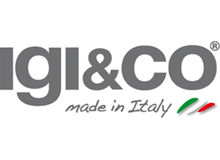 Logo Igi&Co