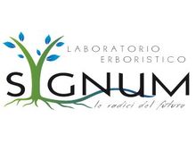 Logo Sygnum