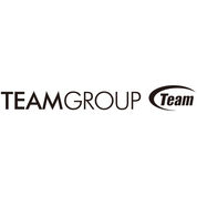 Logo Team Group