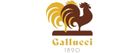 Gallucci 1890