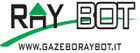 Gazebo ray bot Gazebo ray bot
