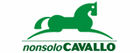 Non solo Cavallo