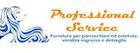 Professional Service Professional Service