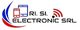 Ri Si Electronic Logo