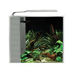 Acquario 10l