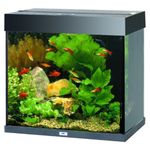 Acquario 5 l