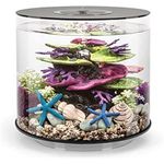 Acquario fondo nero