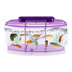 Acquario quadrato