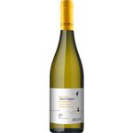 Vino Alcamo