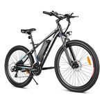Bici elettrica ancheer