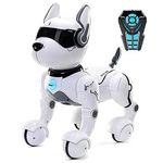Animali Robot