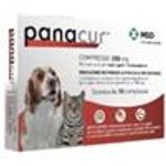 Antielmintico cani