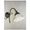 Applique bagno da interno