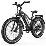 Bici cruiser elettrica