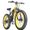 Bici elettrica 1000w
