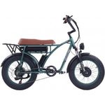 Bici elettrica 750 watt