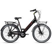 Bici elettrica bottecchia
