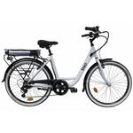 Bici elettrica con portapacchi