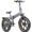 Bici elettrica engwe 750w