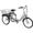 Bici tre ruote elettrica
