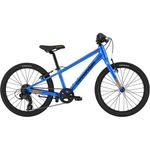 Bicicletta bambina 5 anni