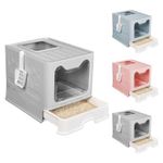 Box per gatti