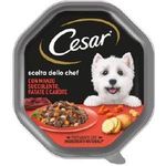 Cibo per cani cesar