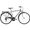 City Bike bottecchia