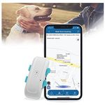 Collare GPS cane