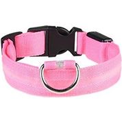 Collare luminoso per cani