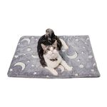 Coperta cane divano