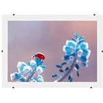 Cornice senza vetro