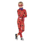 Costume Ladybug
