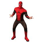 Costume Spiderman nero