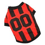 Costumi per gatti