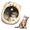 Cucce per cani piccoli
