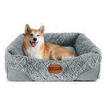 Cuccia con cuscino per cani
