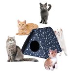 Cuccia igloo gatto