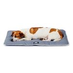 Cuscini per cani lavabili