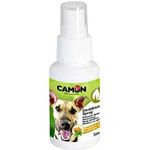 Dentifricio spray per cani