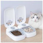 Distributore automatico di cibo per gatti con timer