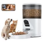 Distributore cibo gatti con telecamera