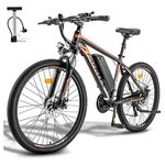 Bicicletta elettrica fafrees