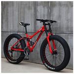 Fat Bike 26 pollici