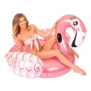 Fenicottero gonfiabile gigante