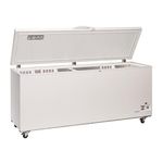 Frigo a pozzetto