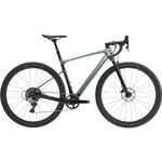 Giant Bike