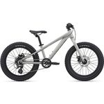 Mtb giant